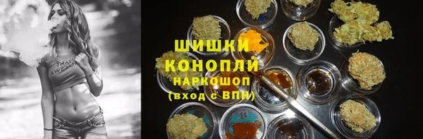 ешки Богданович
