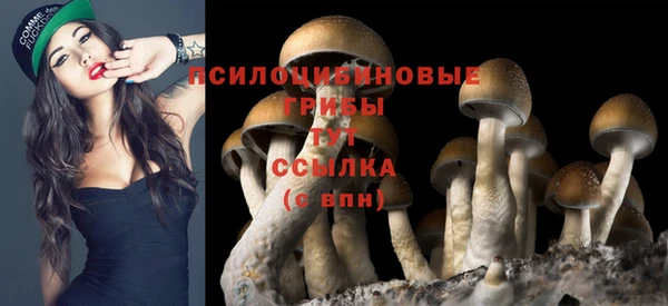 ешки Богданович