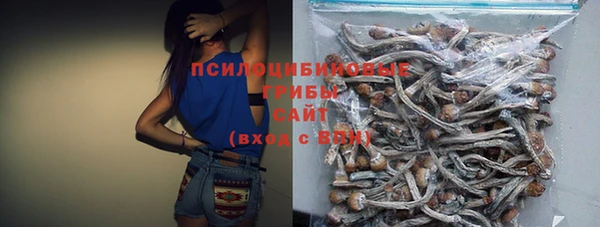 прущая мука Богородицк