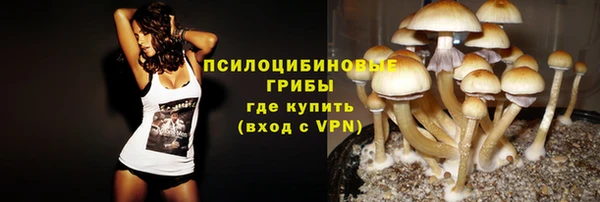 прущая мука Богородицк
